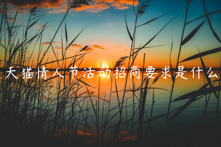 天貓情人節(jié)活動(dòng)招商要求是什么